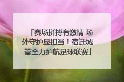 赛场拼搏有激情 场外守护显担当！宿迁城管全力护航足球联赛