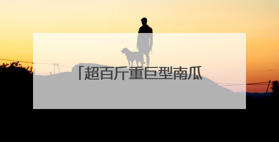 超百斤重巨型南瓜、维生素含量更高的辣椒……“太空味道”在航天育种试验田里拔节生长