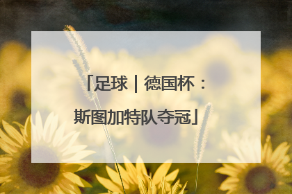 足球｜德国杯：斯图加特队夺冠