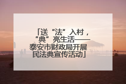 送“法”入村，“典”亮生活——泰安市财政局开展民法典宣传活动