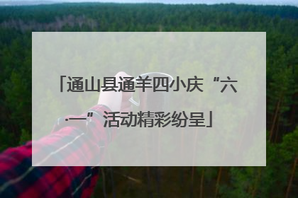 通山县通羊四小庆“六·一”活动精彩纷呈