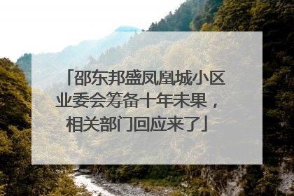 邵东邦盛凤凰城小区业委会筹备十年未果，相关部门回应来了