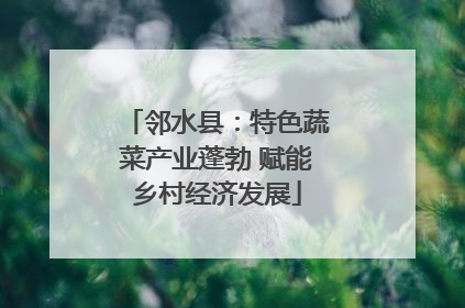邻水县：特色蔬菜产业蓬勃 赋能乡村经济发展