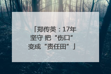 郑传英：17年坚守 把“伤口”变成“责任田”