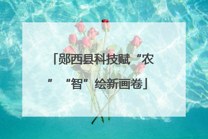 郧西县科技赋“农”“智”绘新画卷