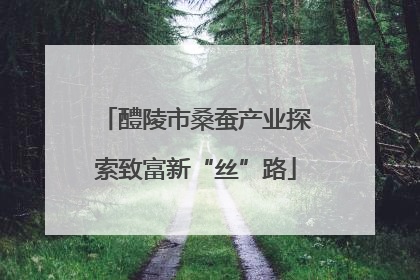 醴陵市桑蚕产业探索致富新“丝”路
