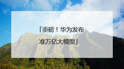 重磅！华为发布准万亿大模型