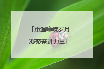 重温峥嵘岁月 凝聚奋进力量