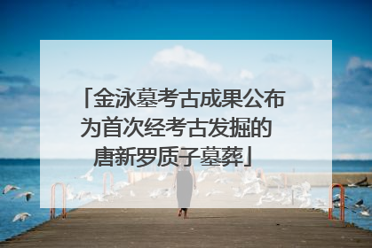 金泳墓考古成果公布 为首次经考古发掘的唐新罗质子墓葬