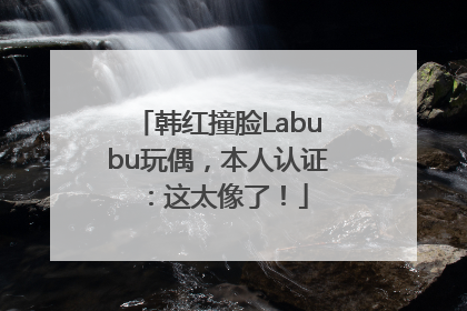 韩红撞脸Labubu玩偶，本人认证：这太像了！