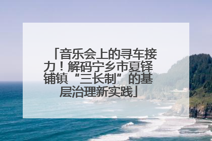 音乐会上的寻车接力！解码宁乡市夏铎铺镇“三长制”的基层治理新实践