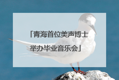 青海首位美声博士举办毕业音乐会