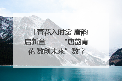 青花入时裳 唐韵启新章——“唐韵青花 数创未来”数字文创设计大赛启幕