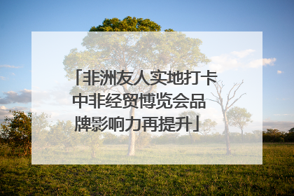 非洲友人实地打卡 中非经贸博览会品牌影响力再提升