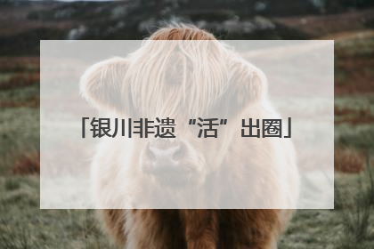 银川非遗“活”出圈