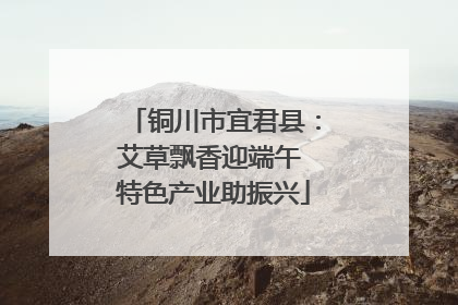 铜川市宜君县：艾草飘香迎端午 特色产业助振兴