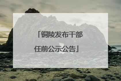 铜陵发布干部任前公示公告