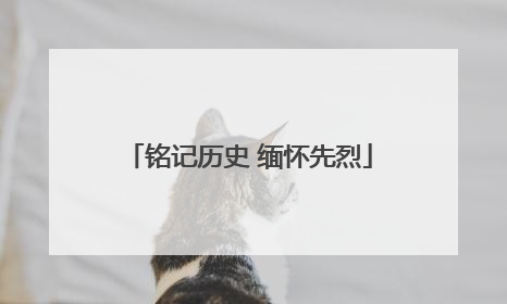 铭记历史 缅怀先烈