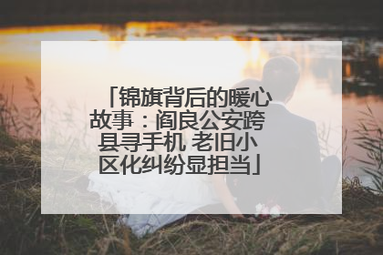 锦旗背后的暖心故事：阎良公安跨县寻手机 老旧小区化纠纷显担当