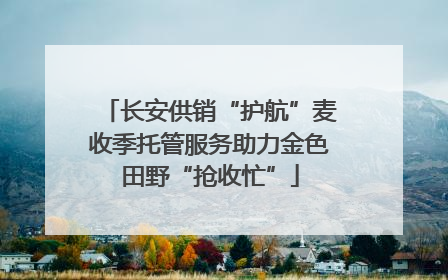长安供销“护航”麦收季托管服务助力金色田野“抢收忙”