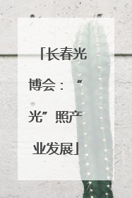 长春光博会：“光”照产业发展