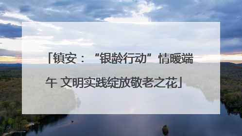 镇安：“银龄行动”情暖端午 文明实践绽放敬老之花