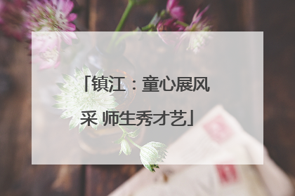 镇江：童心展风采 师生秀才艺