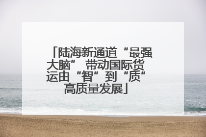 陆海新通道“最强大脑” 带动国际货运由“智”到“质”高质量发展