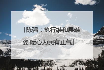陈强：执行维和展雄姿 暖心为民有正气