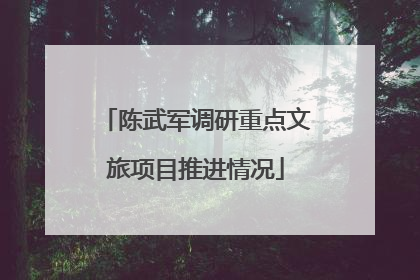 陈武军调研重点文旅项目推进情况