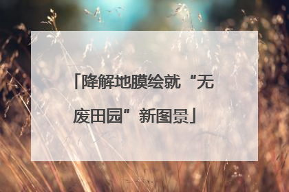 降解地膜绘就“无废田园”新图景