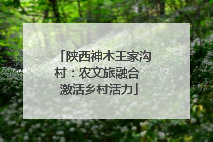 陕西神木王家沟村：农文旅融合 激活乡村活力