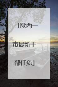 陕西一市最新干部任免