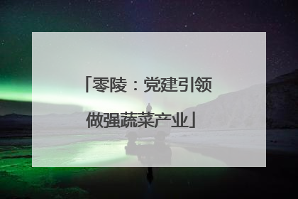 零陵：党建引领 做强蔬菜产业