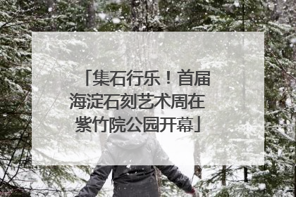 集石行乐！首届海淀石刻艺术周在紫竹院公园开幕