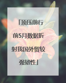 顶压前行 前5月数据折射我国外贸较强韧性