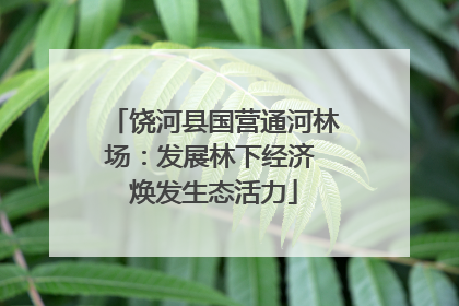 饶河县国营通河林场：发展林下经济 焕发生态活力