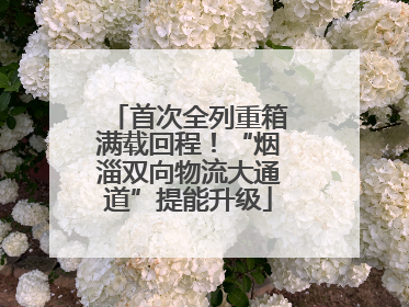 首次全列重箱满载回程！“烟淄双向物流大通道”提能升级