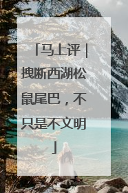 马上评｜拽断西湖松鼠尾巴，不只是不文明