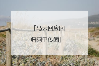 马云回应回归阿里传闻