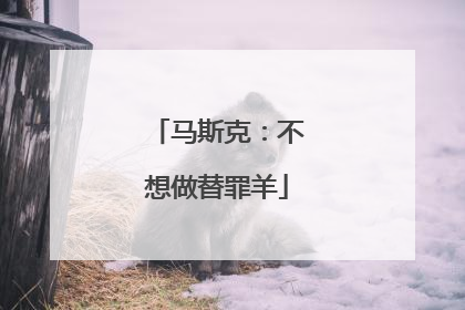 马斯克：不想做替罪羊