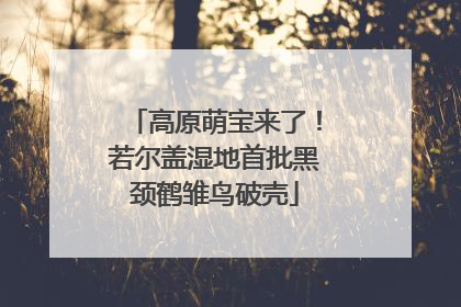 高原萌宝来了！若尔盖湿地首批黑颈鹤雏鸟破壳