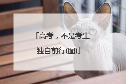 高考，不是考生独自前行(图)