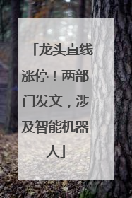 龙头直线涨停！两部门发文，涉及智能机器人