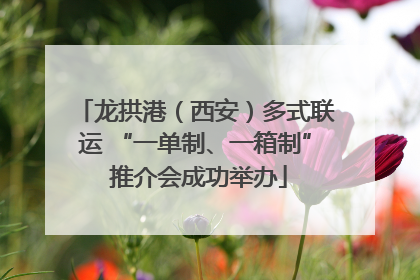 龙拱港（西安）多式联运 “一单制、一箱制” 推介会成功举办
