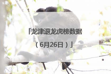龙津退龙虎榜数据（6月26日）