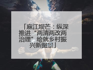 麻江坝芒：纵深推进“两清两改两治理”绘就乡村振兴新图景