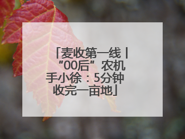 麦收第一线丨“00后”农机手小徐：5分钟收完一亩地