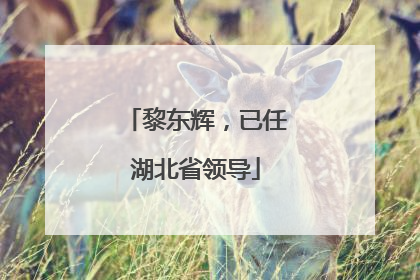 黎东辉，已任湖北省领导