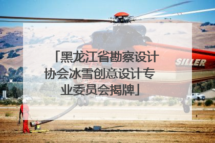 黑龙江省勘察设计协会冰雪创意设计专业委员会揭牌